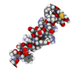 Sunrise Rejuvenation