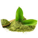 Sunrise Rejuvenation