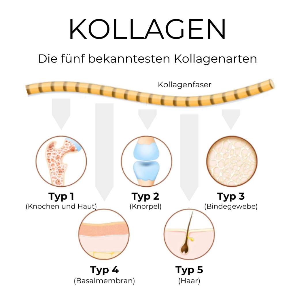 Collagen Strawberry (Kollagen )